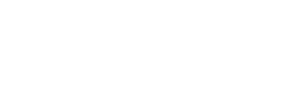 RAJA TRADE LLC